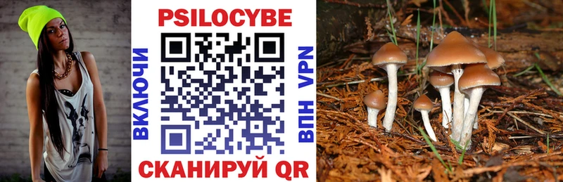 мега как зайти  магазин продажи наркотиков  Новомосковск  Псилоцибиновые грибы Psilocybe 