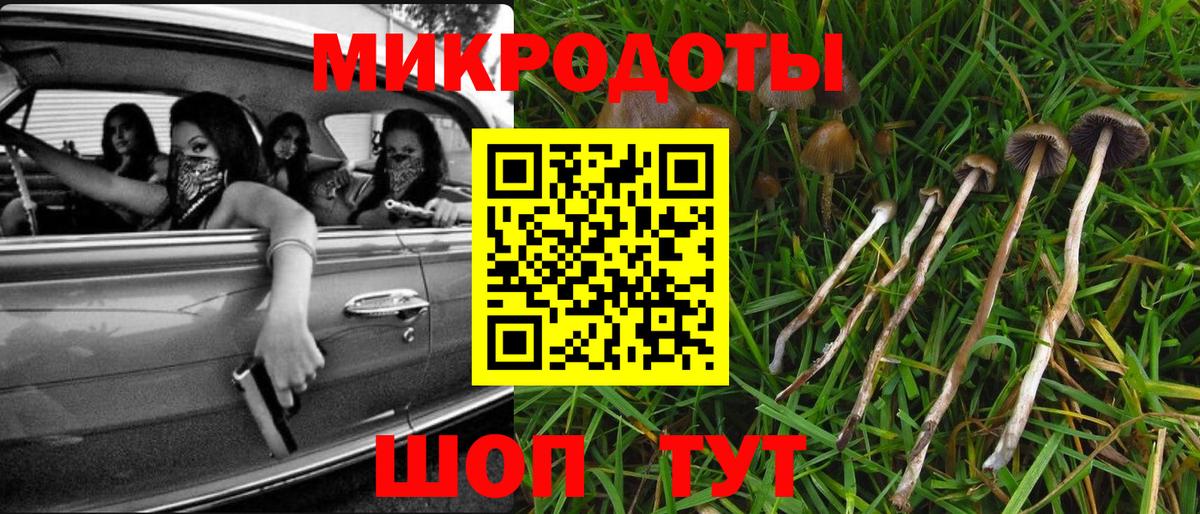 что такое наркотик  Галлюциногенные грибы Cubensis  Вход с VPN  Новомосковск 