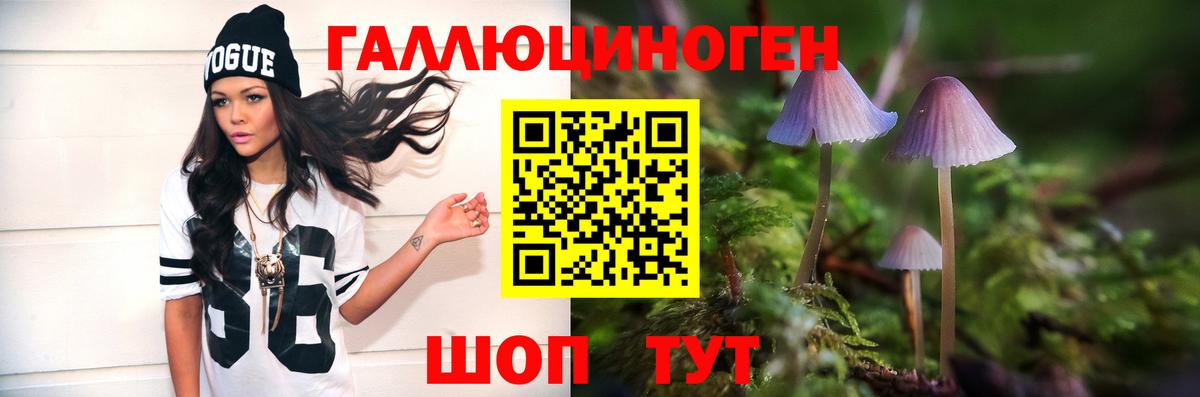 Псилоцибиновые грибы ЛСД Новомосковск