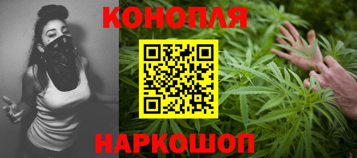 Конопля сатива Новомосковск